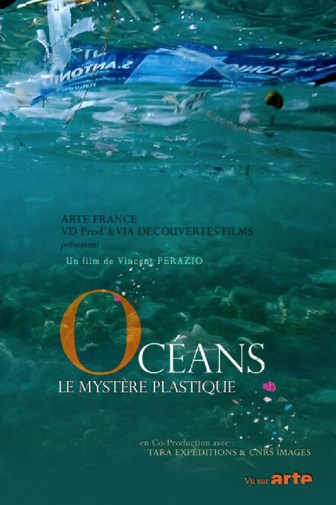 Oceans The Mystery of the Missing Plastic