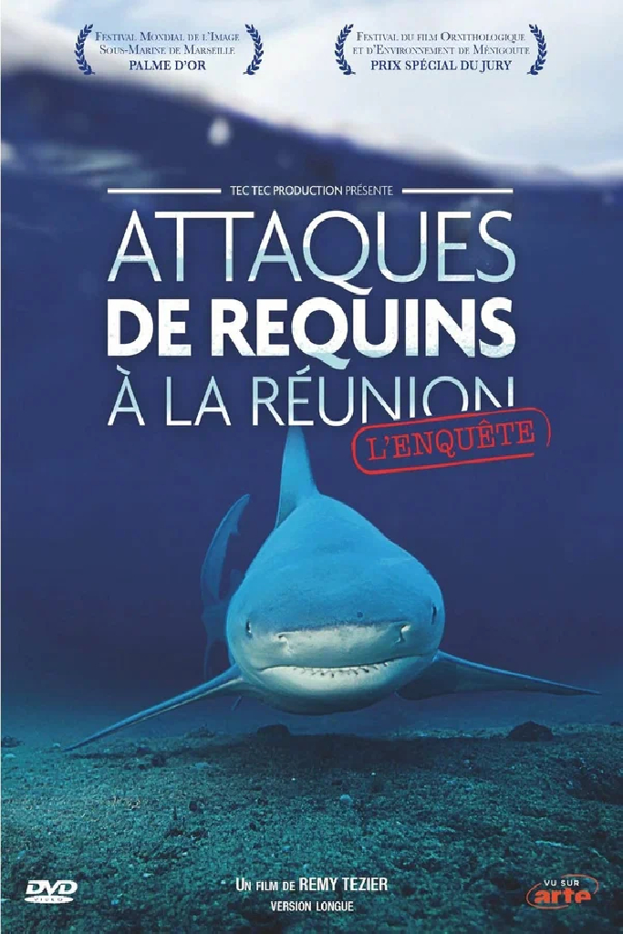 Attaques de Requins à La Réunion L'enquête
