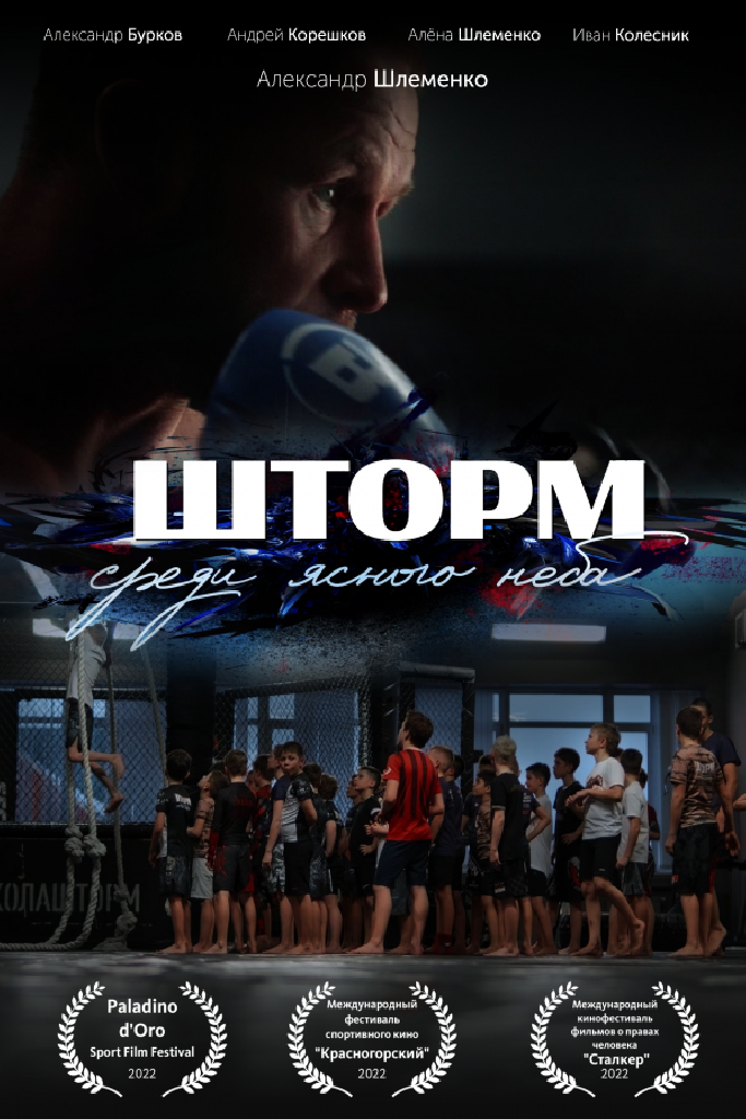 «Шторм» среди ясного неба