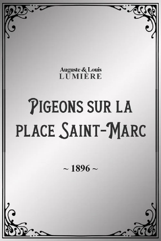 Pigeons sur la place Saint-Marc