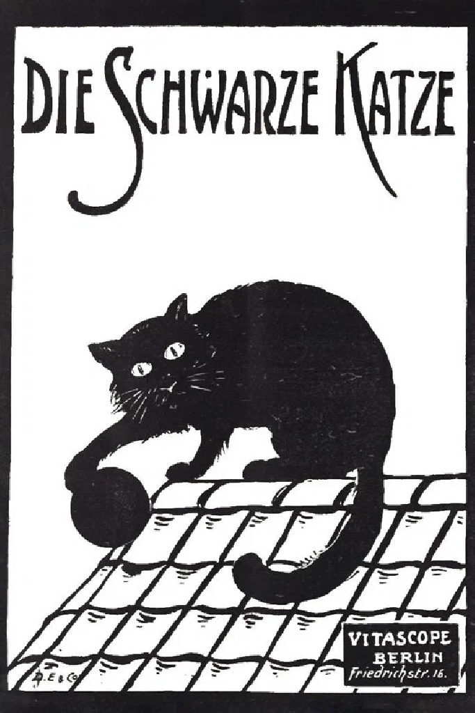 Die schwarze Katze 1. Teil