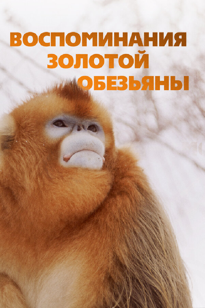 Воспоминания золотой обезьяны