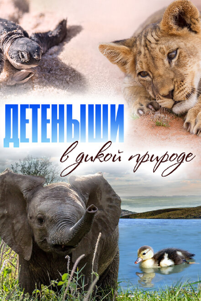 Детеныши в дикой природе