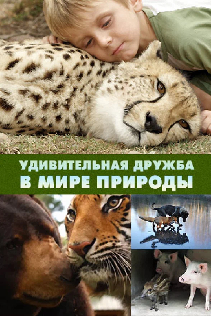 Удивительная дружба в мире природы