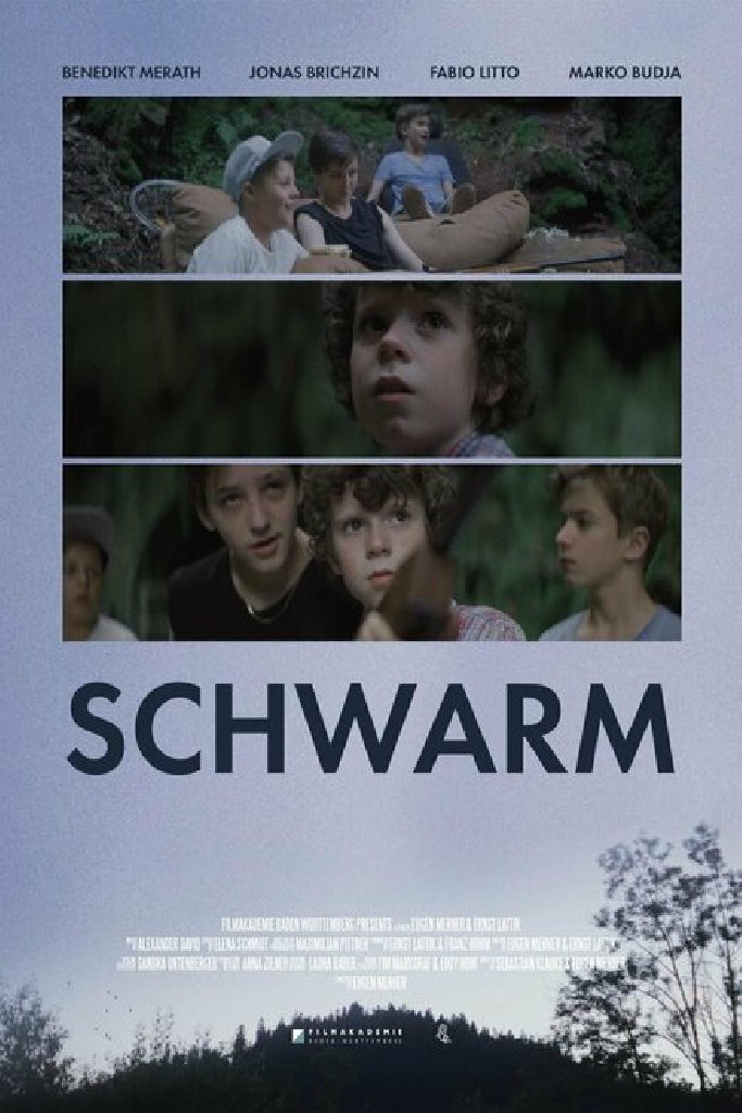 Schwarm