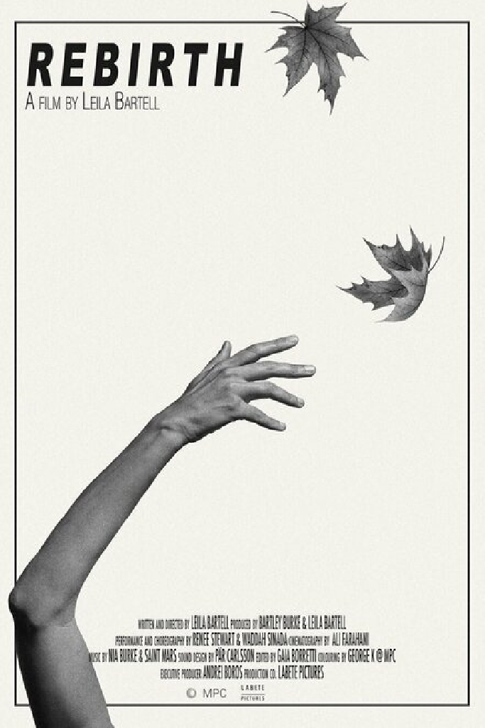 Rebirth (Working Title)