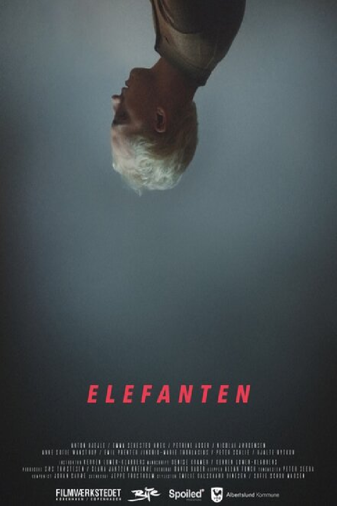 Elefanten