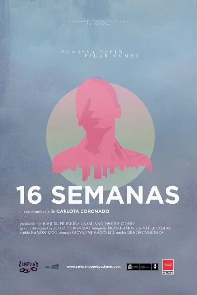 16 semanas