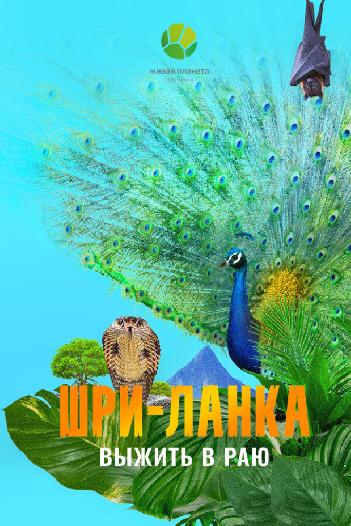 Шри-Ланка: Выжить в раю