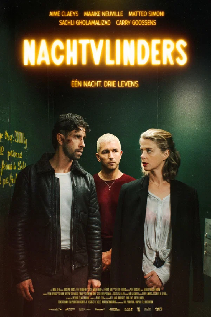 Nachtvlinders