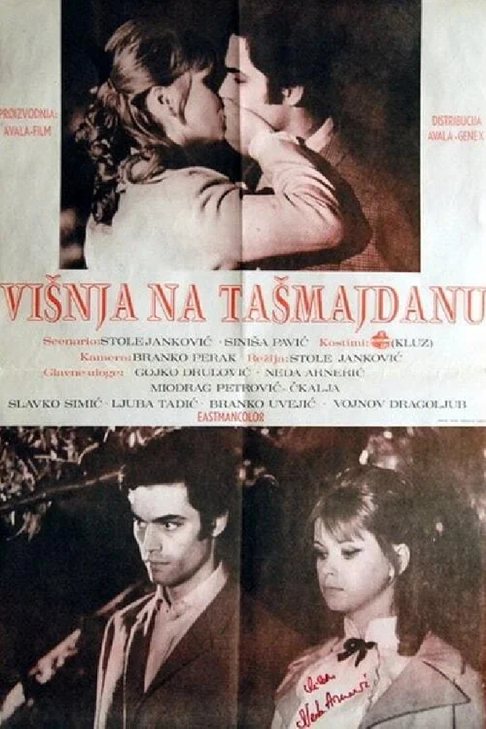Вишня на Ташмайдане