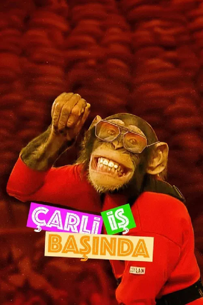 Çarli İş Başında