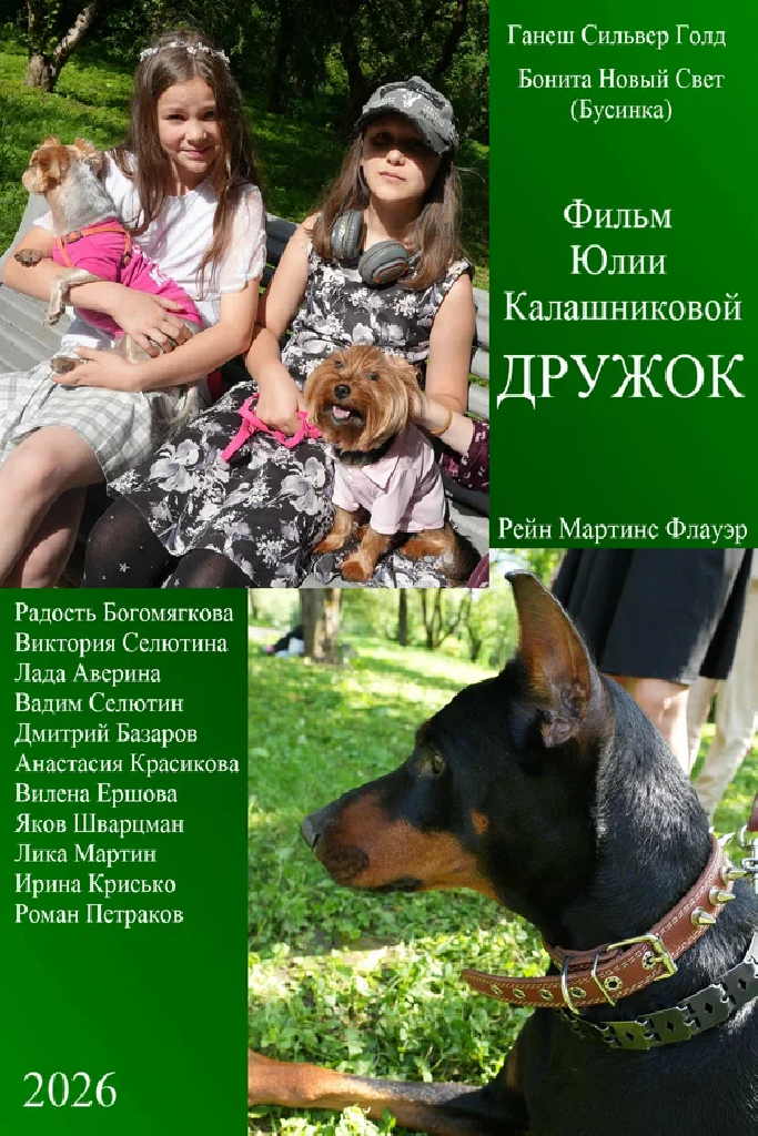 Дружок