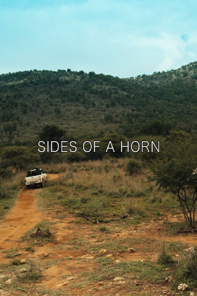 Sides of a Horn