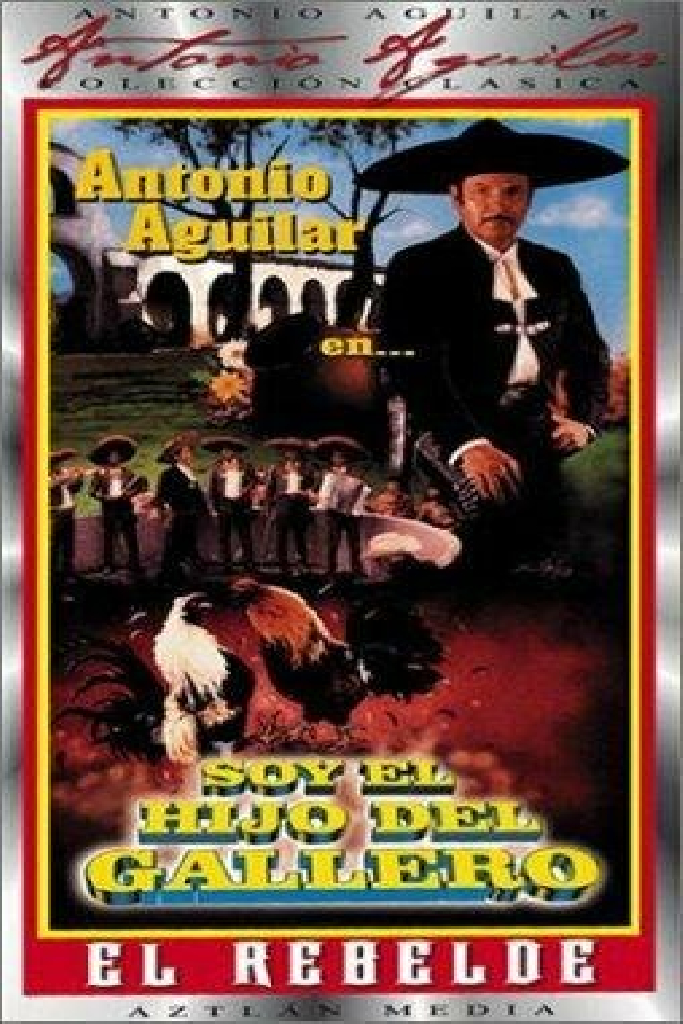 Soy el hijo del gallero