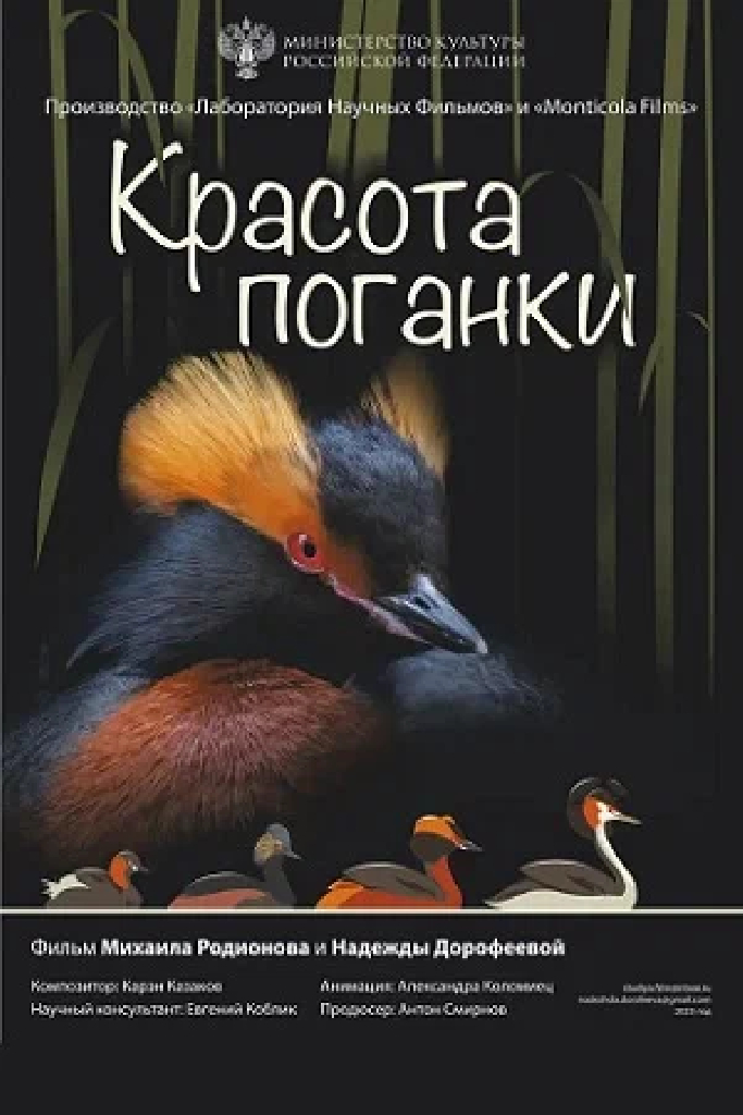 Красота поганки