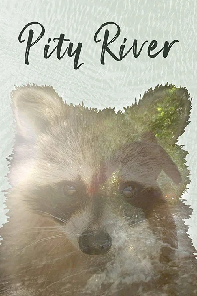 Pity River