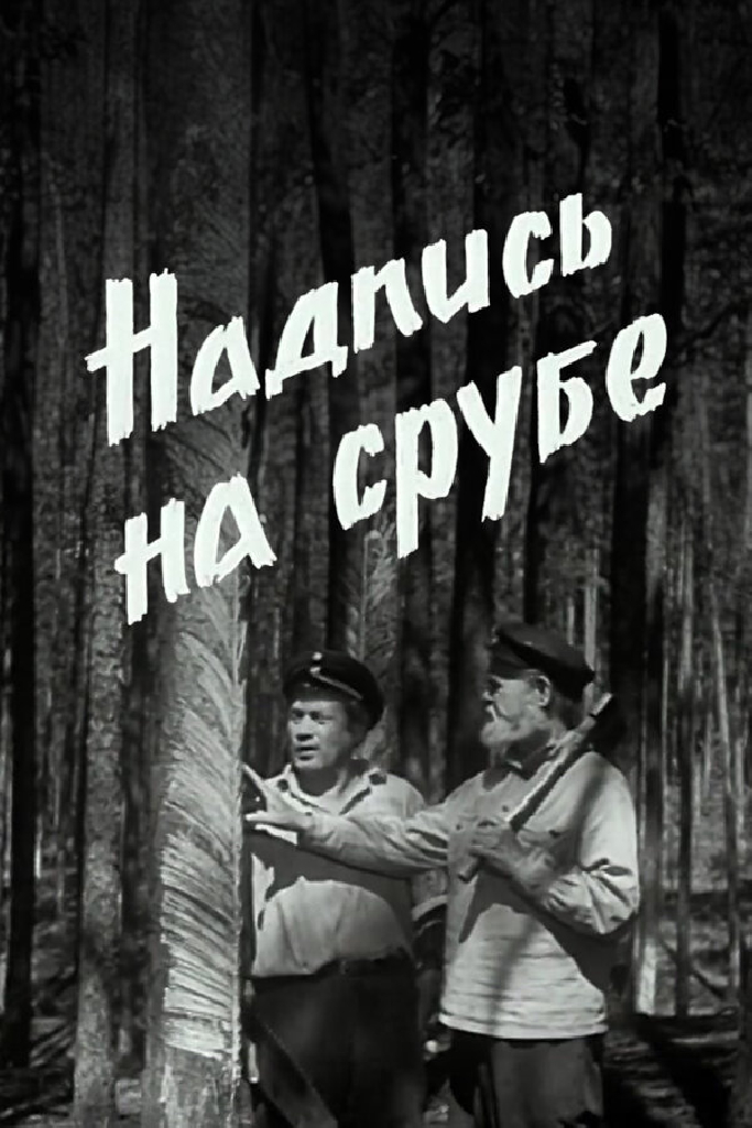 Надпись на срубе