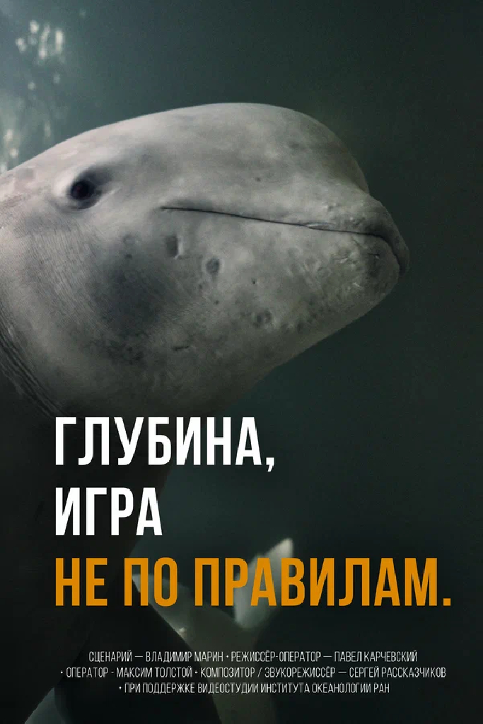 Глубина: Игра не по правилам