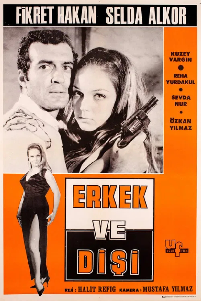 Erkek ve Dişi