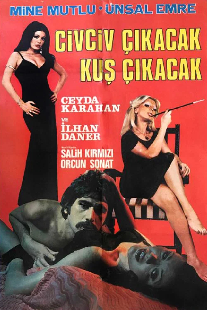 Civciv Çıkacak Kuş Çıkacak
