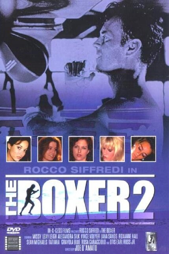 The Boxer 2