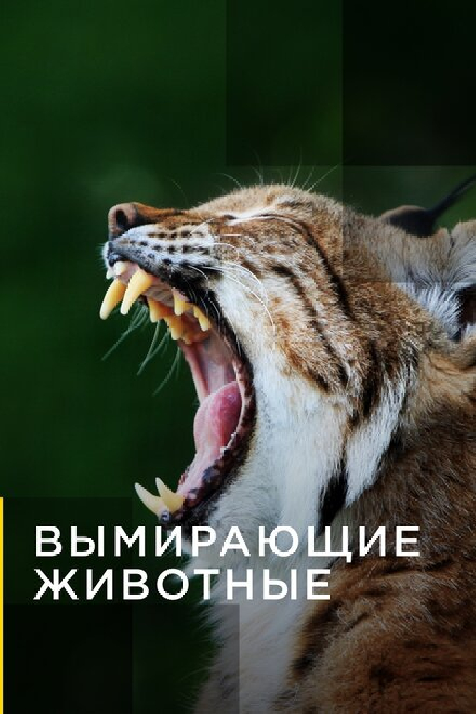 Вымирающие животные
