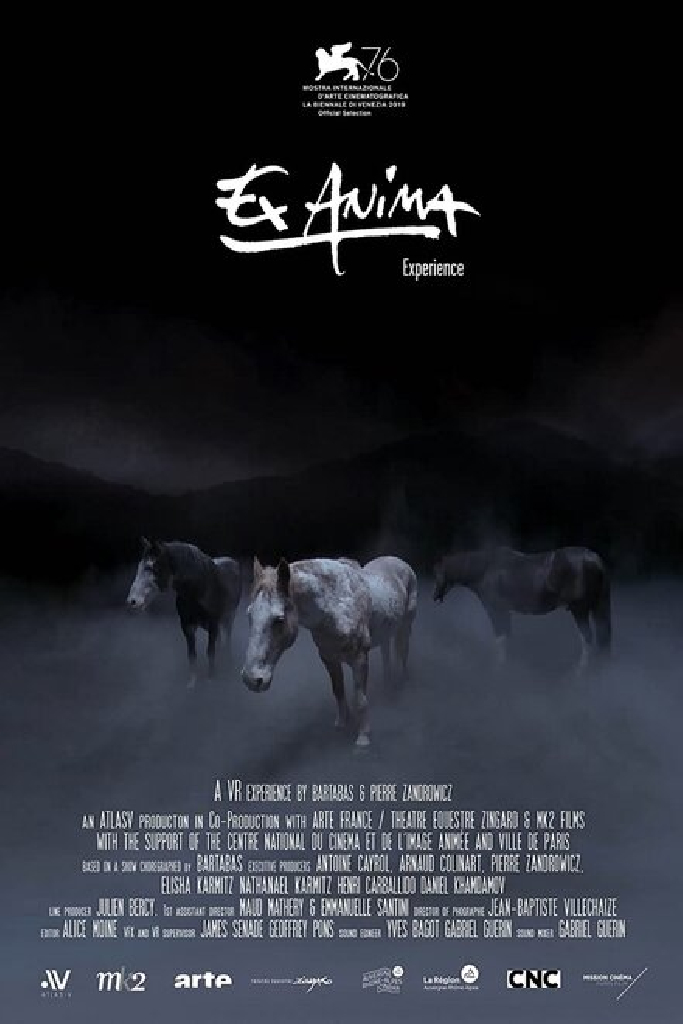 Ex Anima Experience