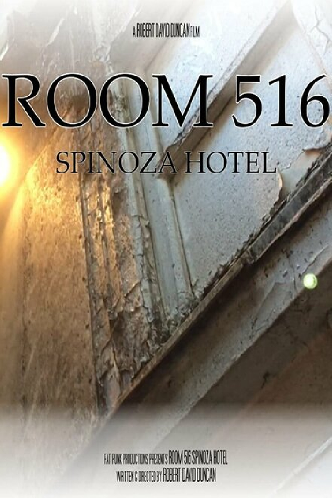 Room 516 Spinoza Hotel