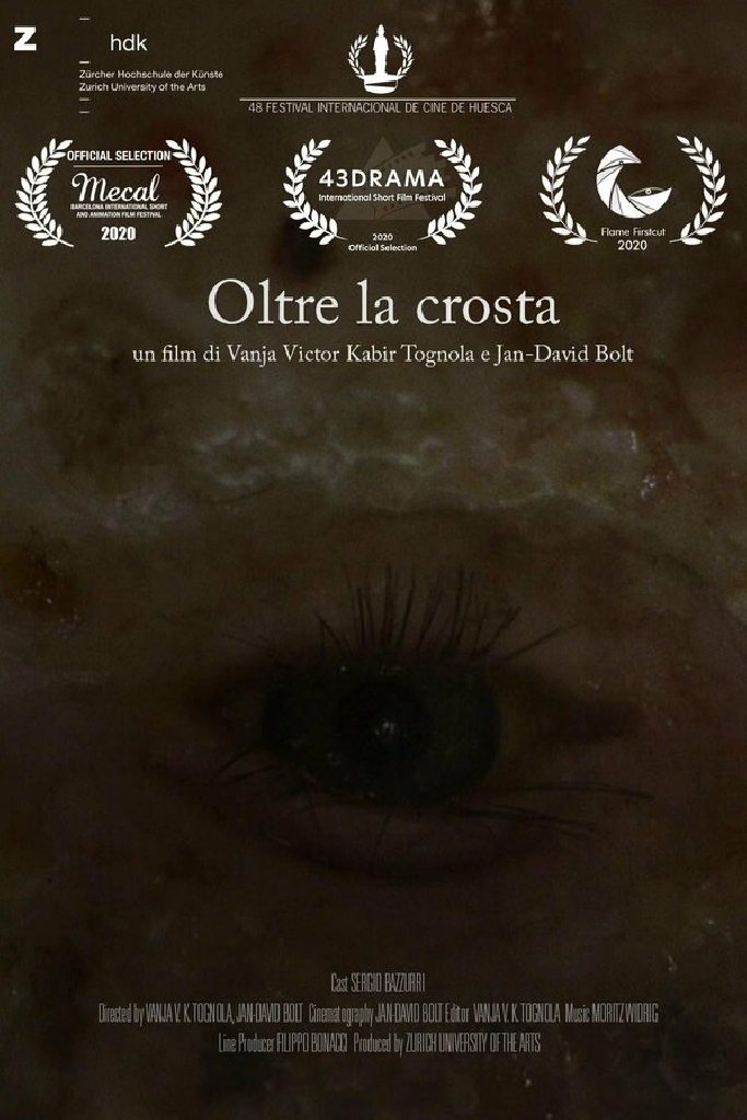 Oltre la crosta