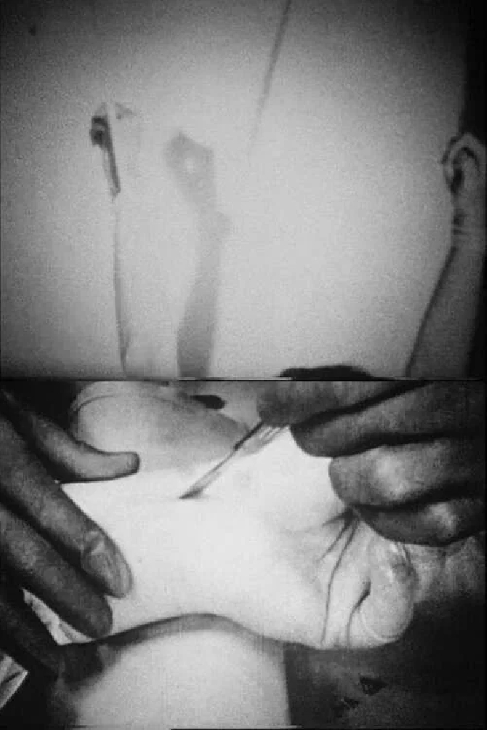 Blicklust