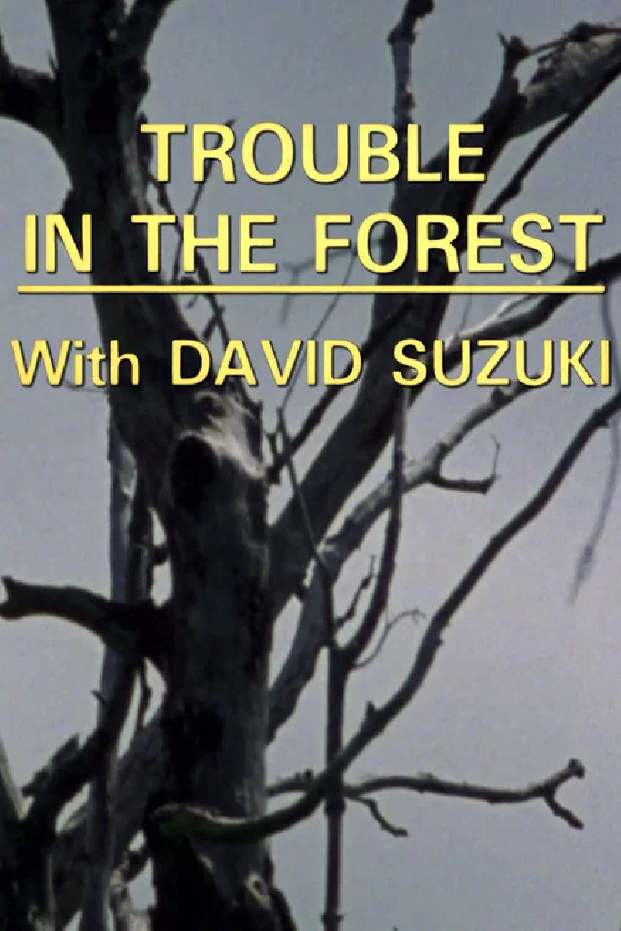 Trouble in the Forest