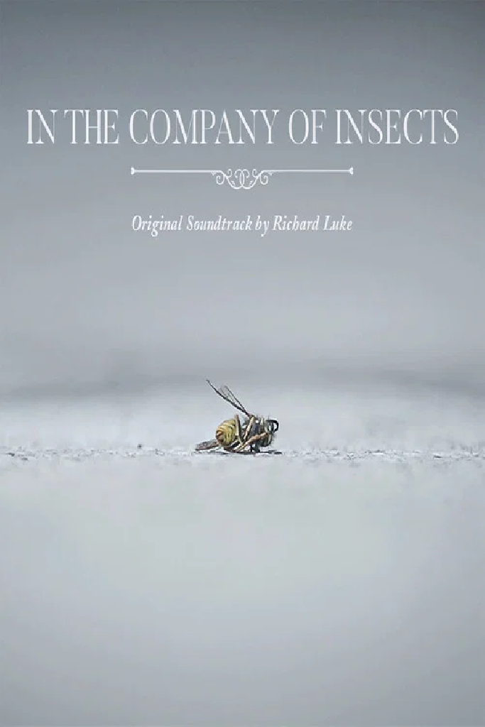 In the Company of Insects
