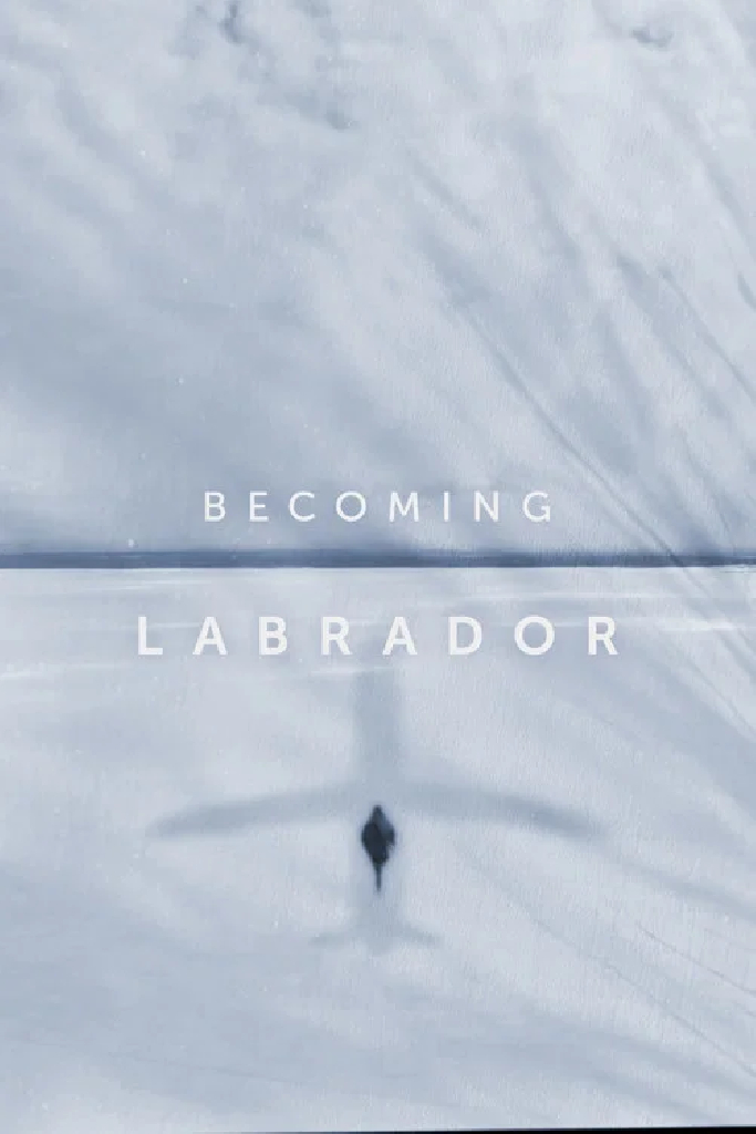 Becoming Labrador