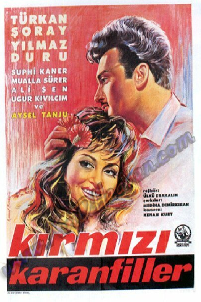 Kirmizi karanfiller