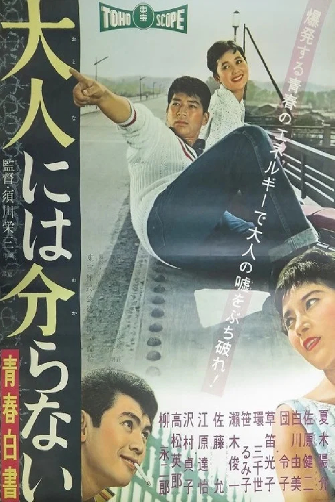 青春白書 大人には分らない