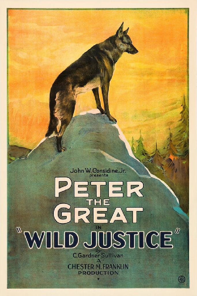 Wild Justice