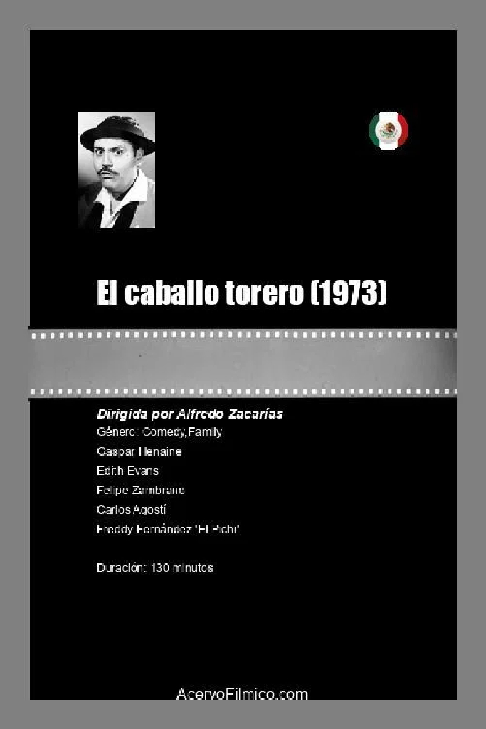 El caballo torero