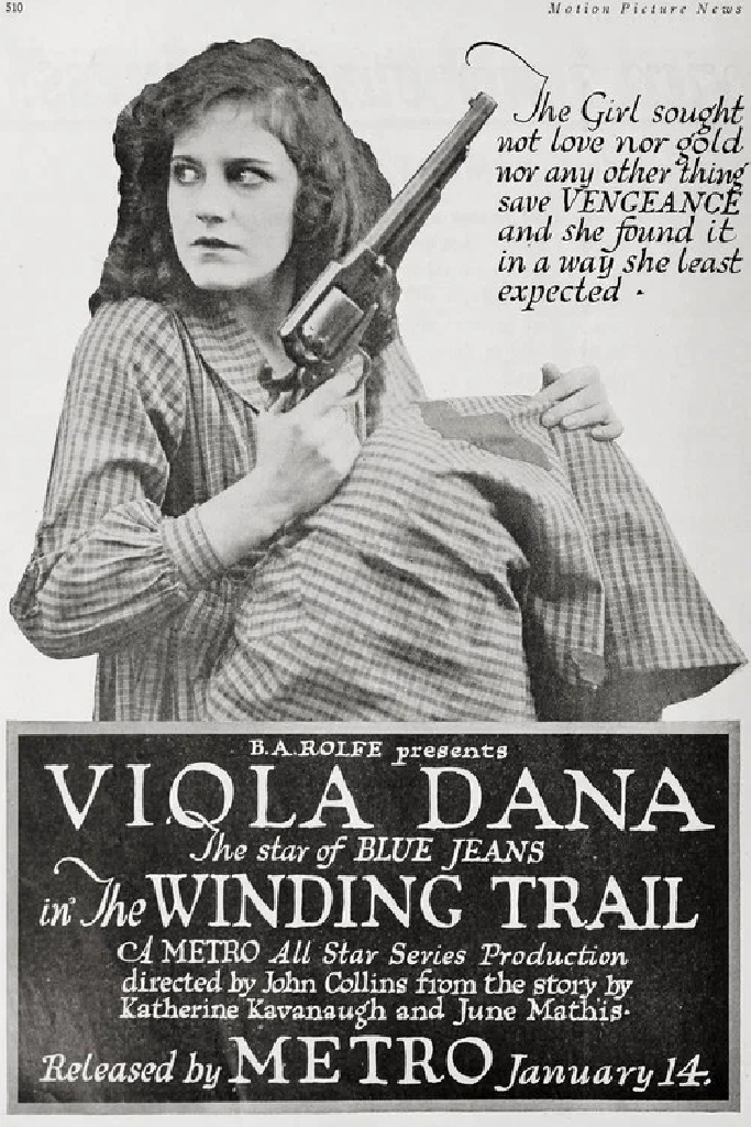 The Winding Trail