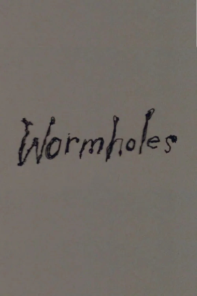 Wormholes