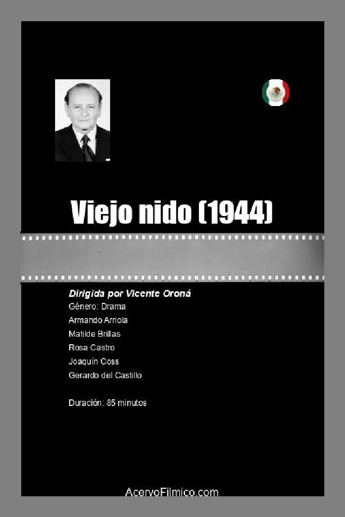 Viejo nido