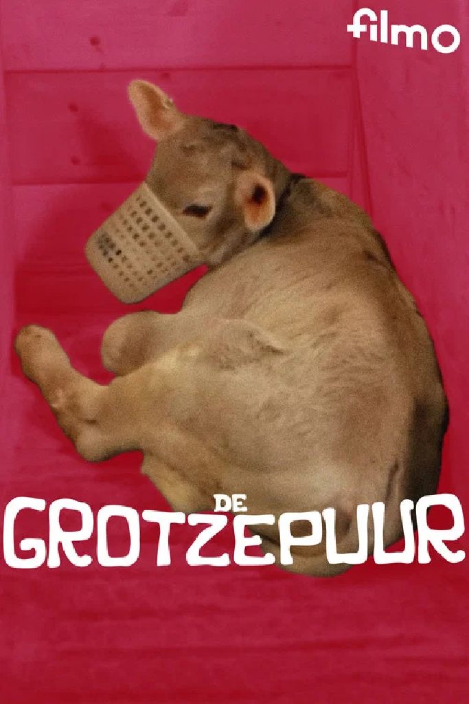 De grotzepuur