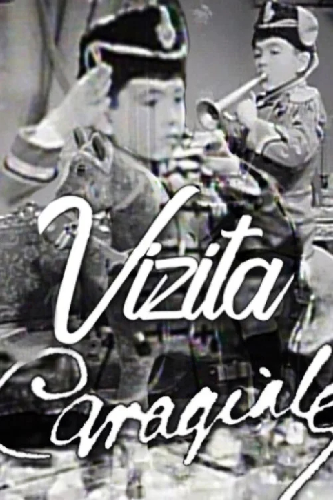 Vizita