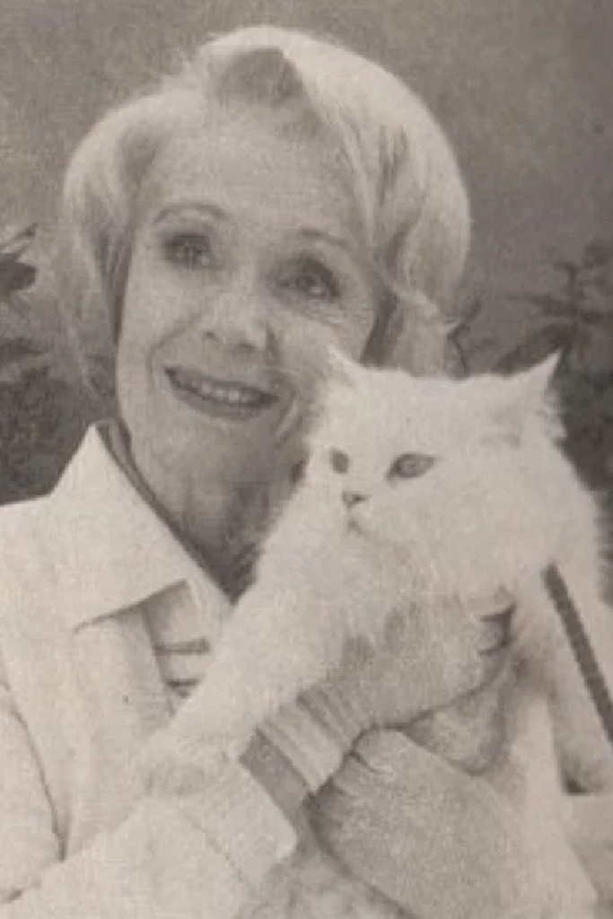 Comme chien et chat