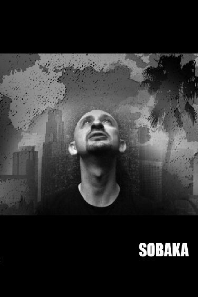 Собака