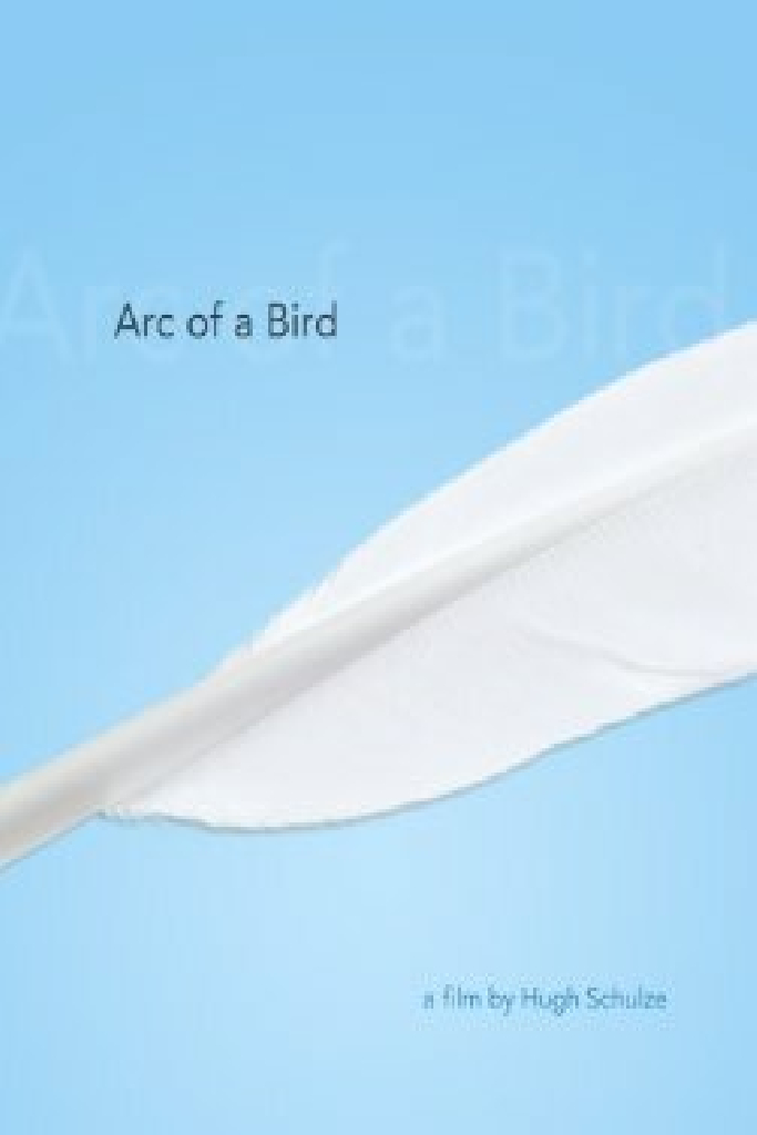 Arc of a Bird