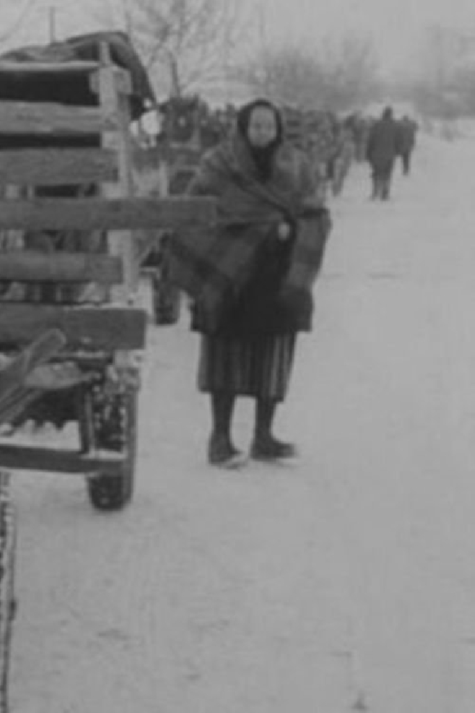 90 дней в году