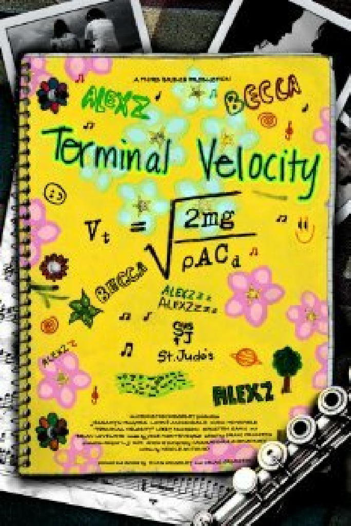 Terminal Velosity