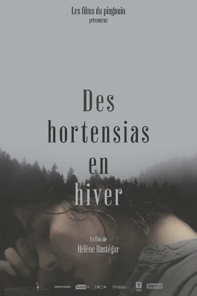 Des Hortensias en Hiver