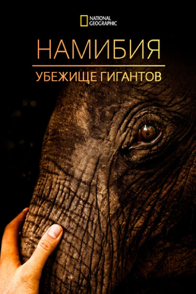Намибия: убежище гигантов